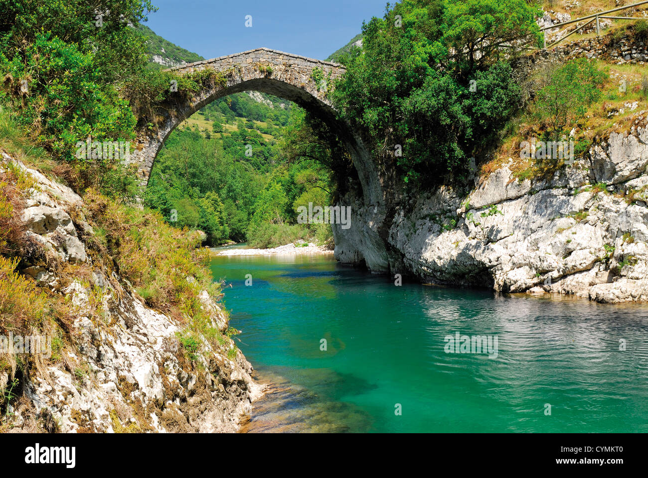 Spagna Asturie: il Romanico ponte di pietra sul fiume di montagna si prende cura nel Parco Nazionale Picos de Europa Foto Stock