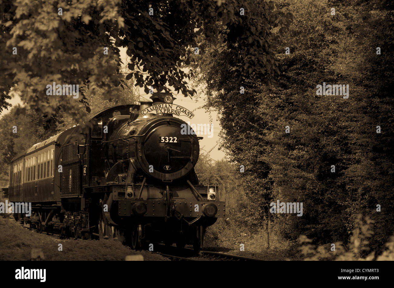 Treno a vapore e carrelli in seppia Foto Stock