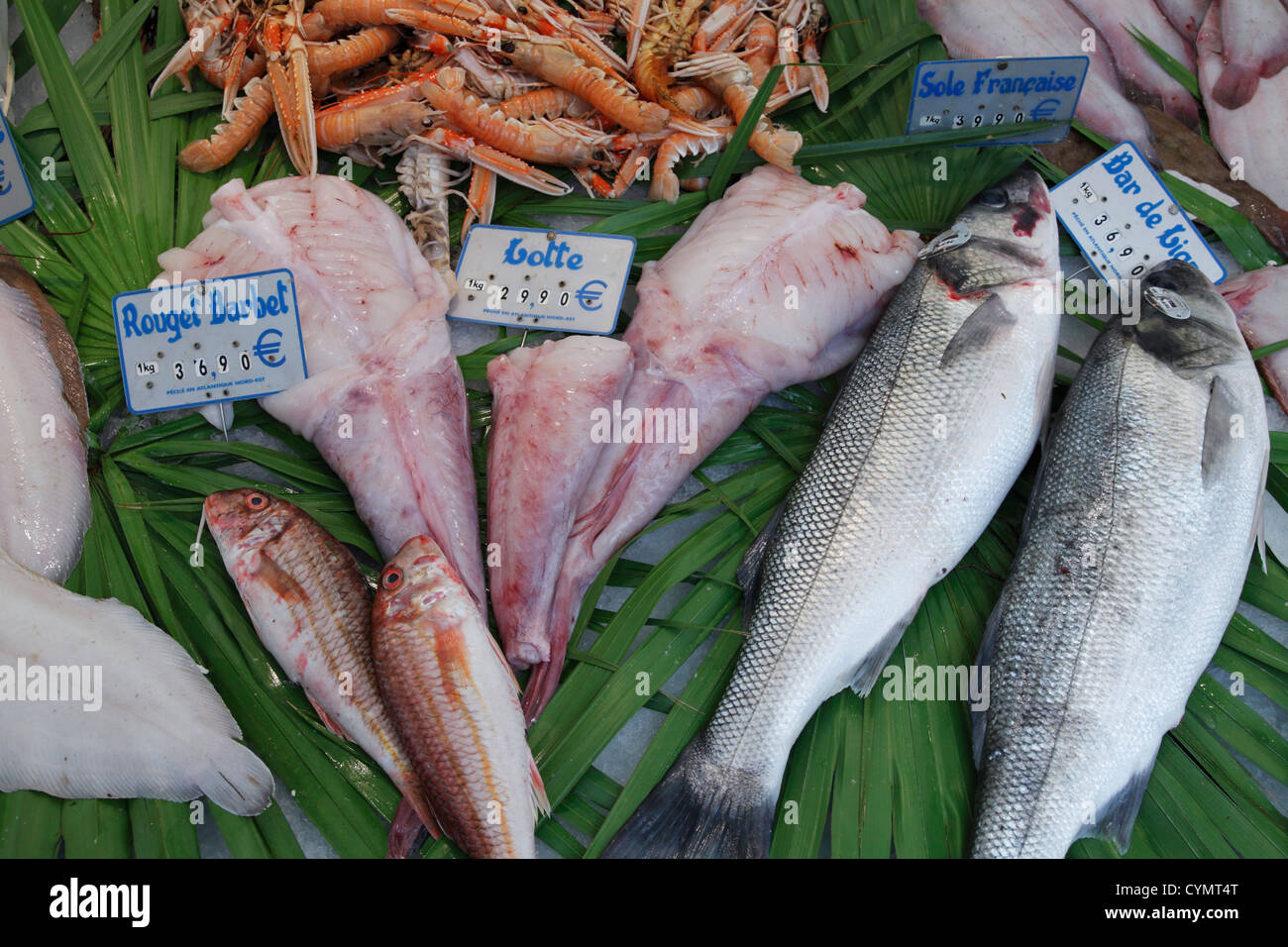 Triglie con striping, filetti di di pescatrice, spigole e langoustine (scampi) sul mercato del pesce Foto Stock