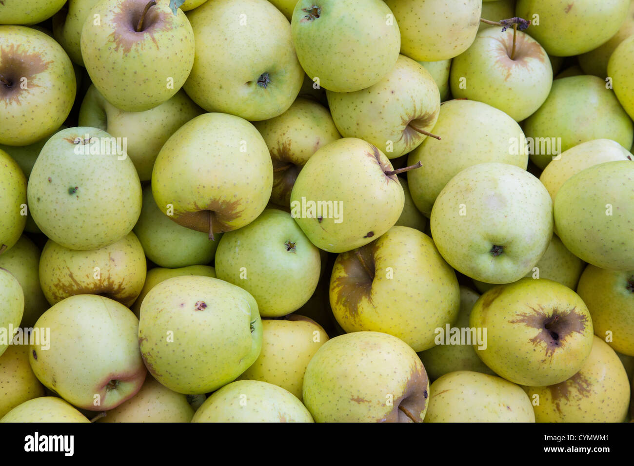 Chiusura del mazzetto di mele giallo Foto Stock