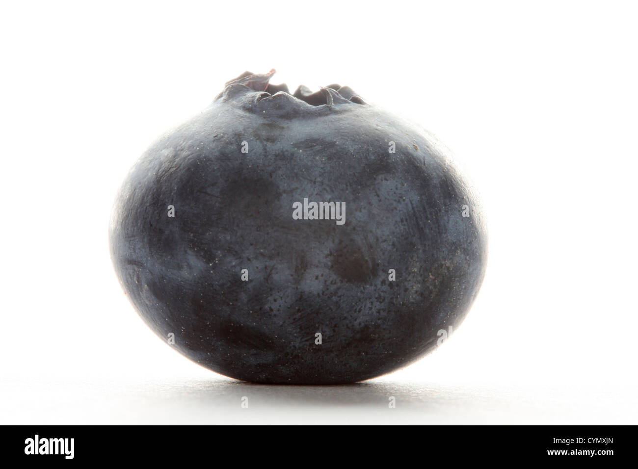 Un mirtillo shot con un obiettivo macro dal lato, elevata illuminazione chiave da dietro il Berry Foto Stock