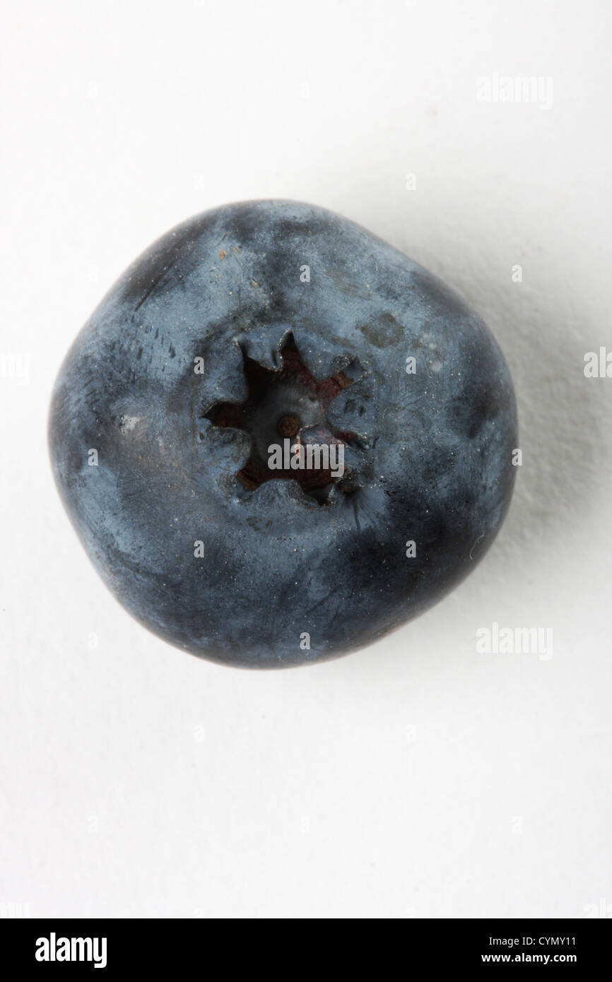 Uno ai mirtilli freschi isolato su bianco shot con lenti macro, buona sfondo di frutta Foto Stock