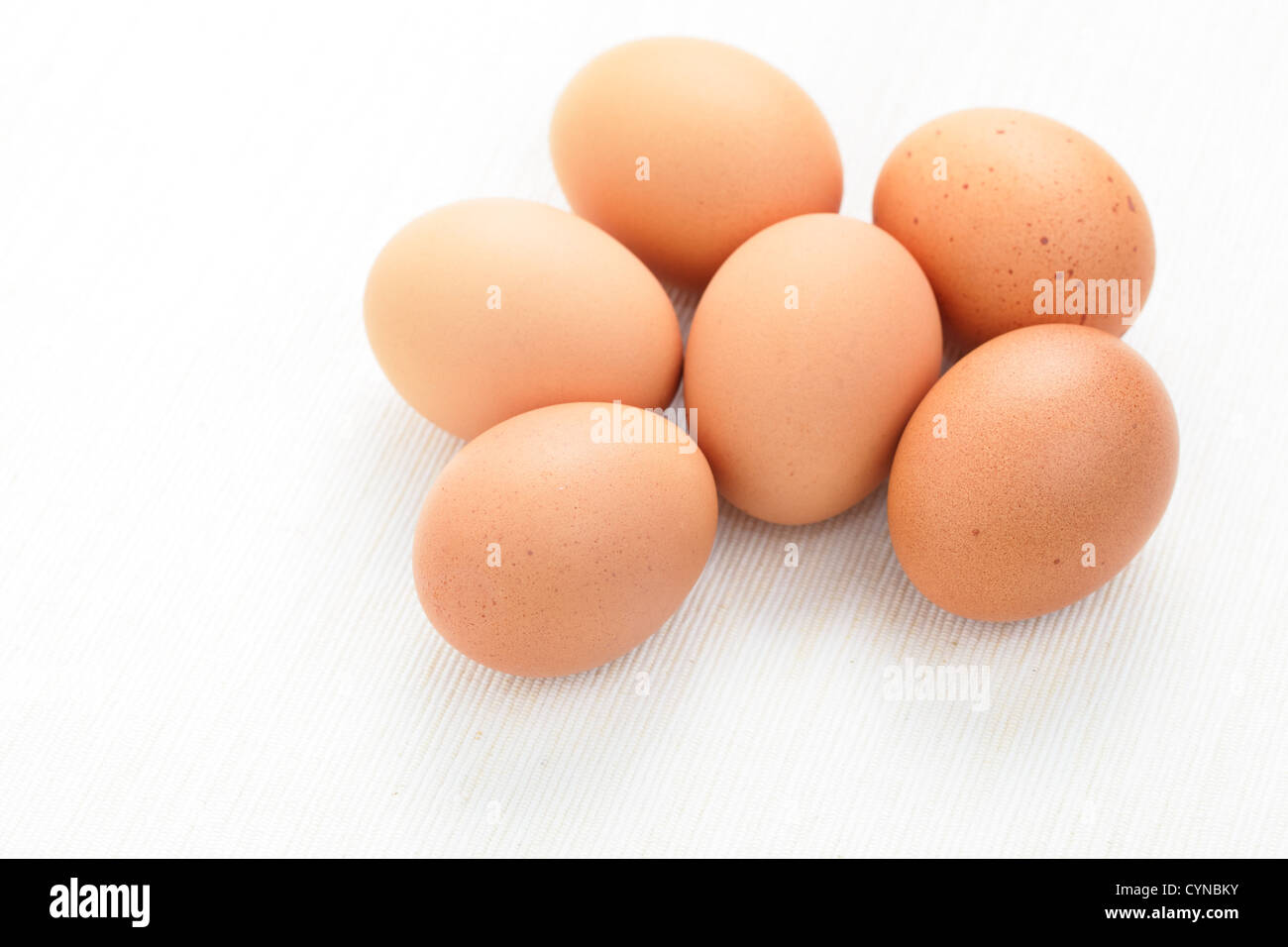 uova fresche Foto Stock