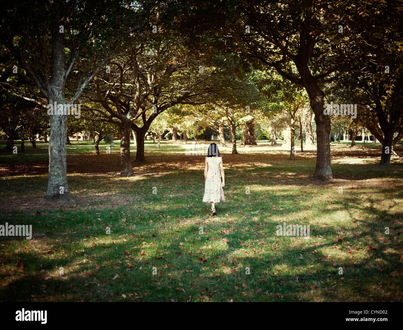 Ragazza cammina tra gli alberi nel parco. Foto Stock