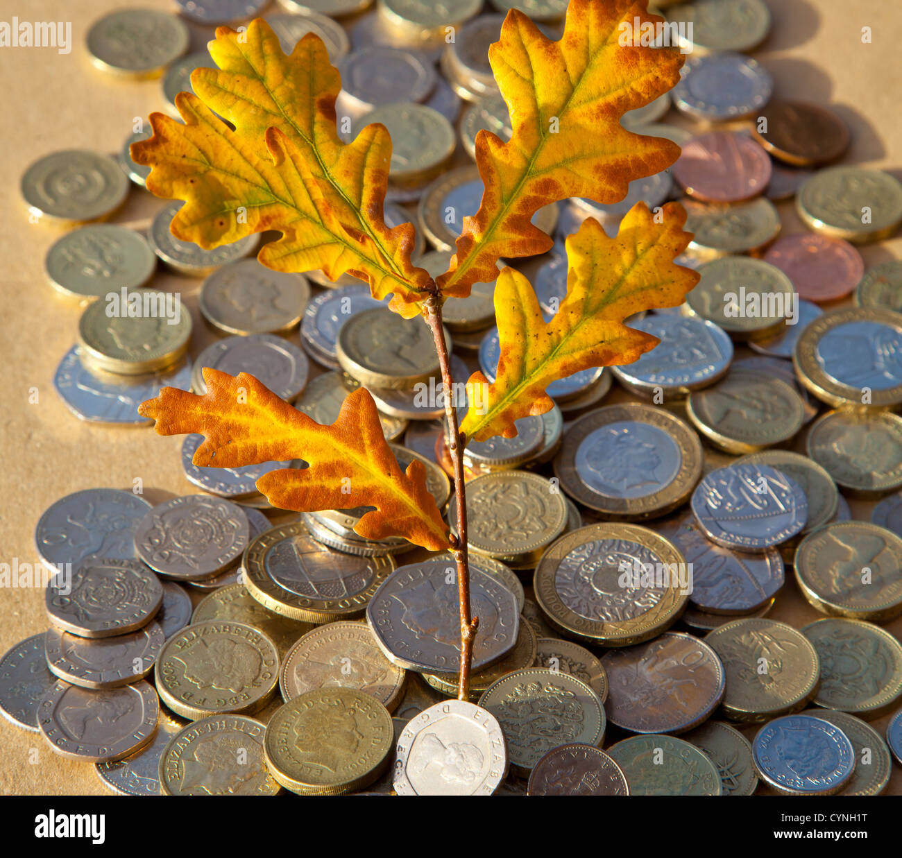 Foglie di autunno nella pila di monete Foto Stock