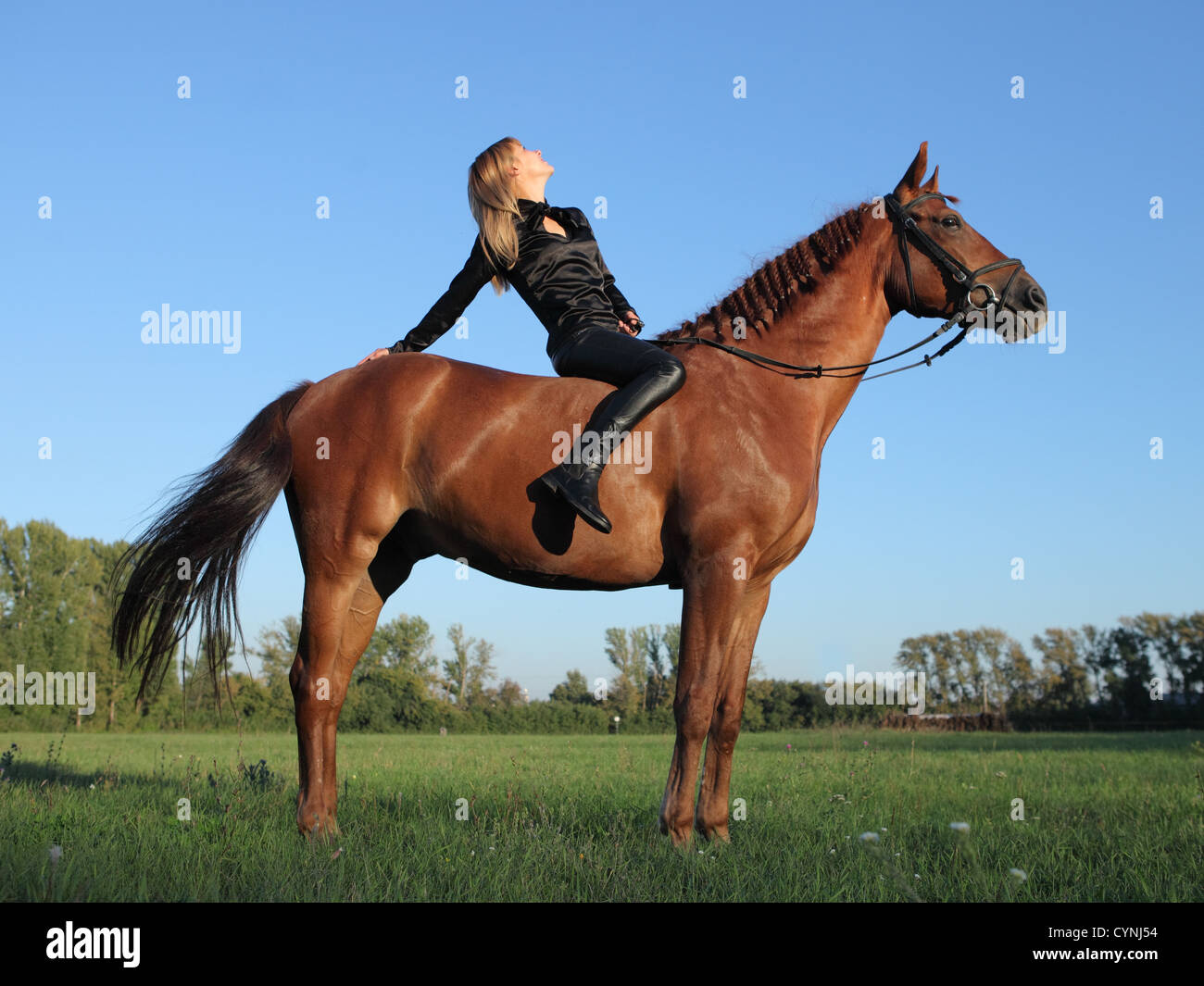 Giovane donna con il suo cavallo al di fuori del settore Foto Stock