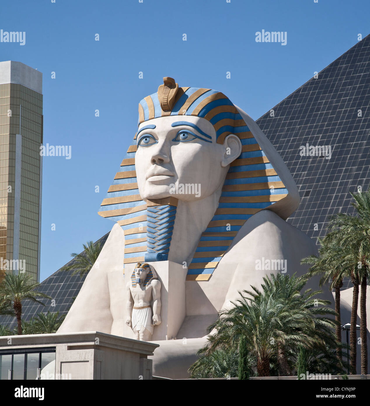 Sphinx statua fuori dall'hotel Luxor Foto Stock