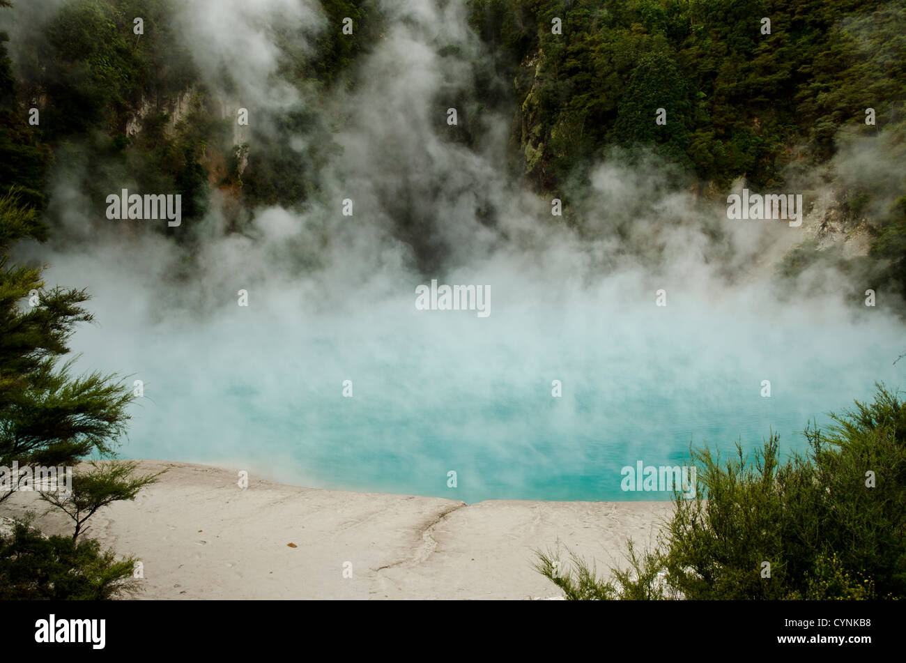 Fumante cratere inferno lago a Valle Vulcanica di Waimangu, Rotorua, Nuova Zelanda Foto Stock