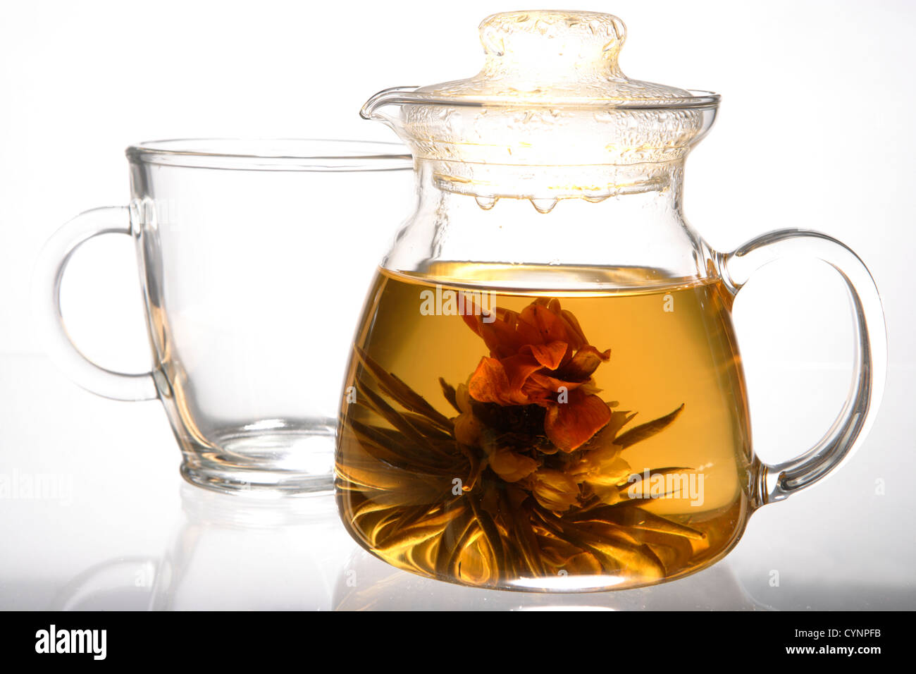 Blooming tea 'magic cherry', fiore secco si dispiega in acqua calda Foto Stock