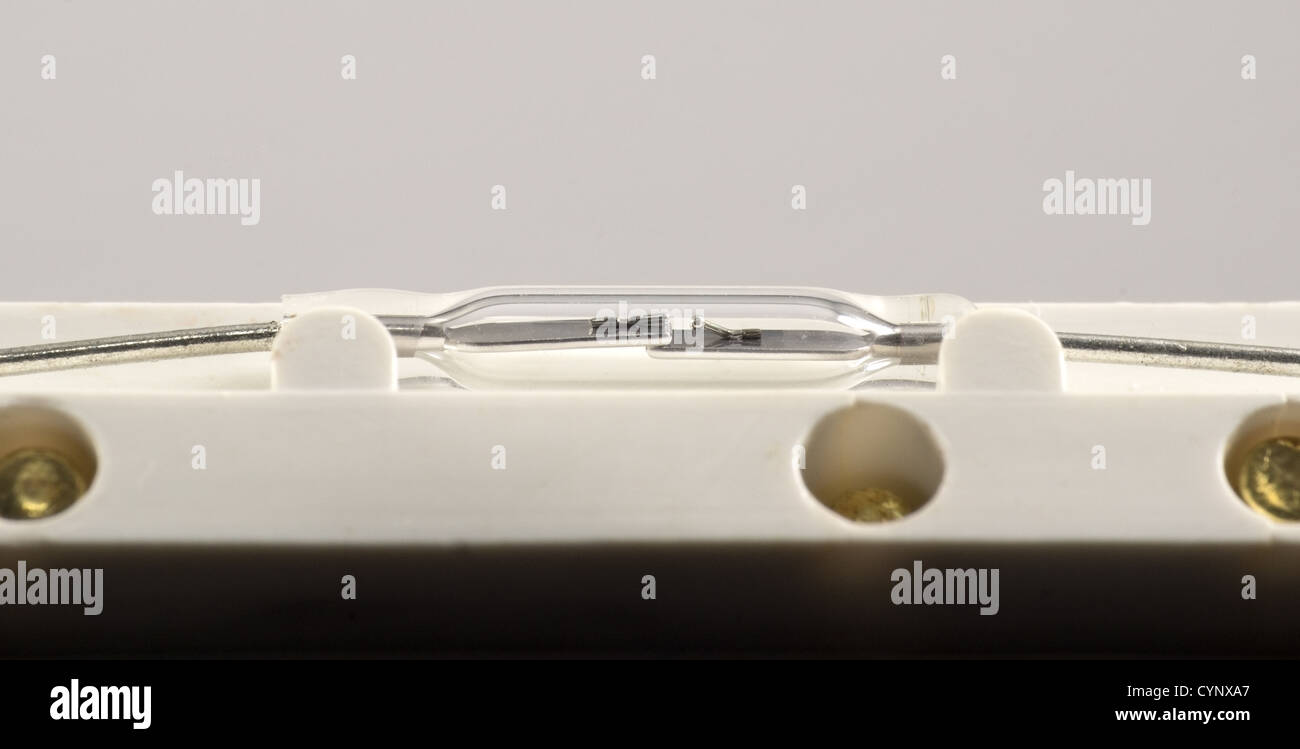Ripresa macro di un interruttore magnetico utilizzato in allarmi di sicurezza su porte e finestre la bolla di vetro misure 11mm x 2mm Foto Stock