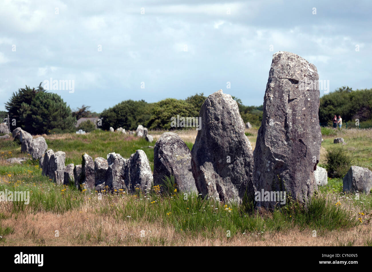 Carnac è famosa come il sito di più di 10.000+ Neolitico pietre permanente, noto anche come menhir. Foto Stock