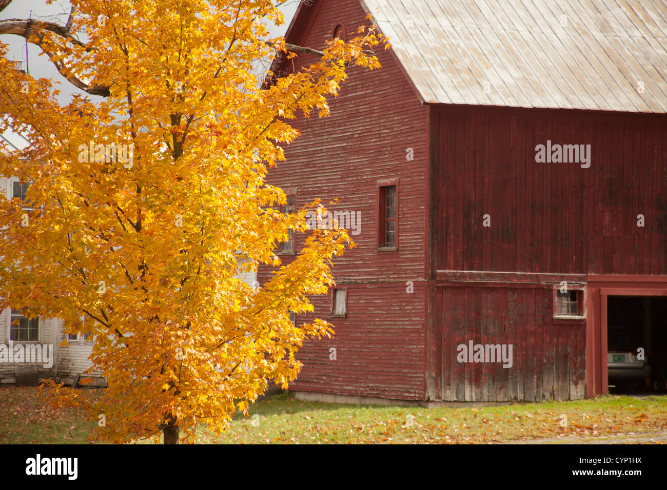 Autunno a colori, Peacham, Vermont, USA Foto Stock