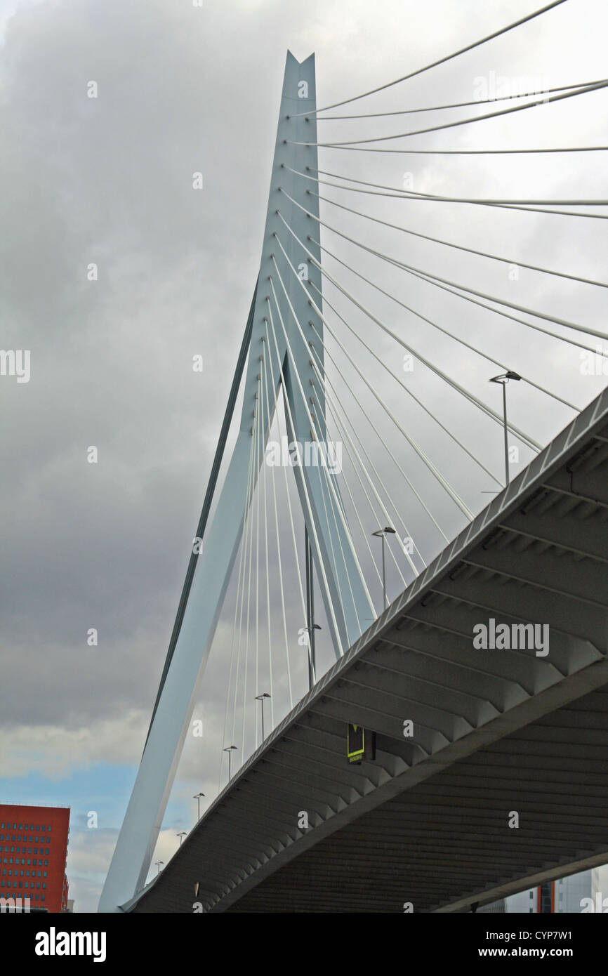 Erasmusbrug (Ponte Erasmus), attraverso la Nieuwe Maas river, Rotterdam, Paesi Bassi. Il ponte è anche soprannominato "Il cigno' Foto Stock