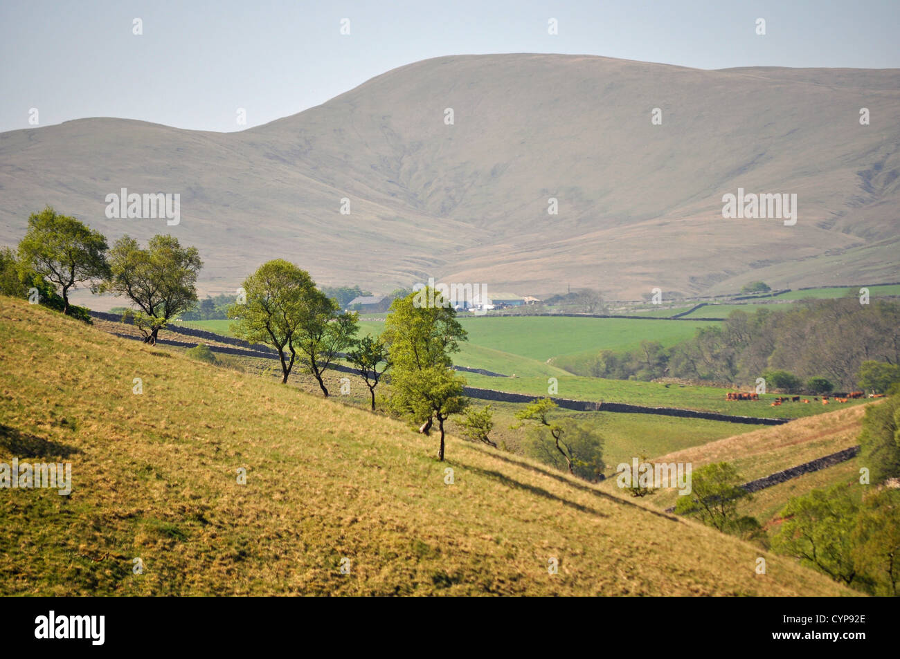 Paesaggio di Cumbria Foto Stock
