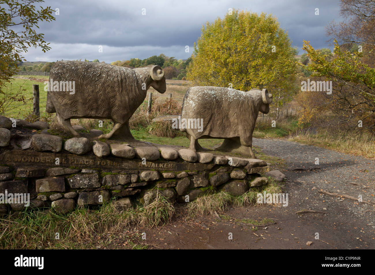 Sculture di pecore creato dall'artista Keith Alexander per la Pennine Way sentiero vicino a bassa forza di Teesdale County Durham Regno Unito Foto Stock