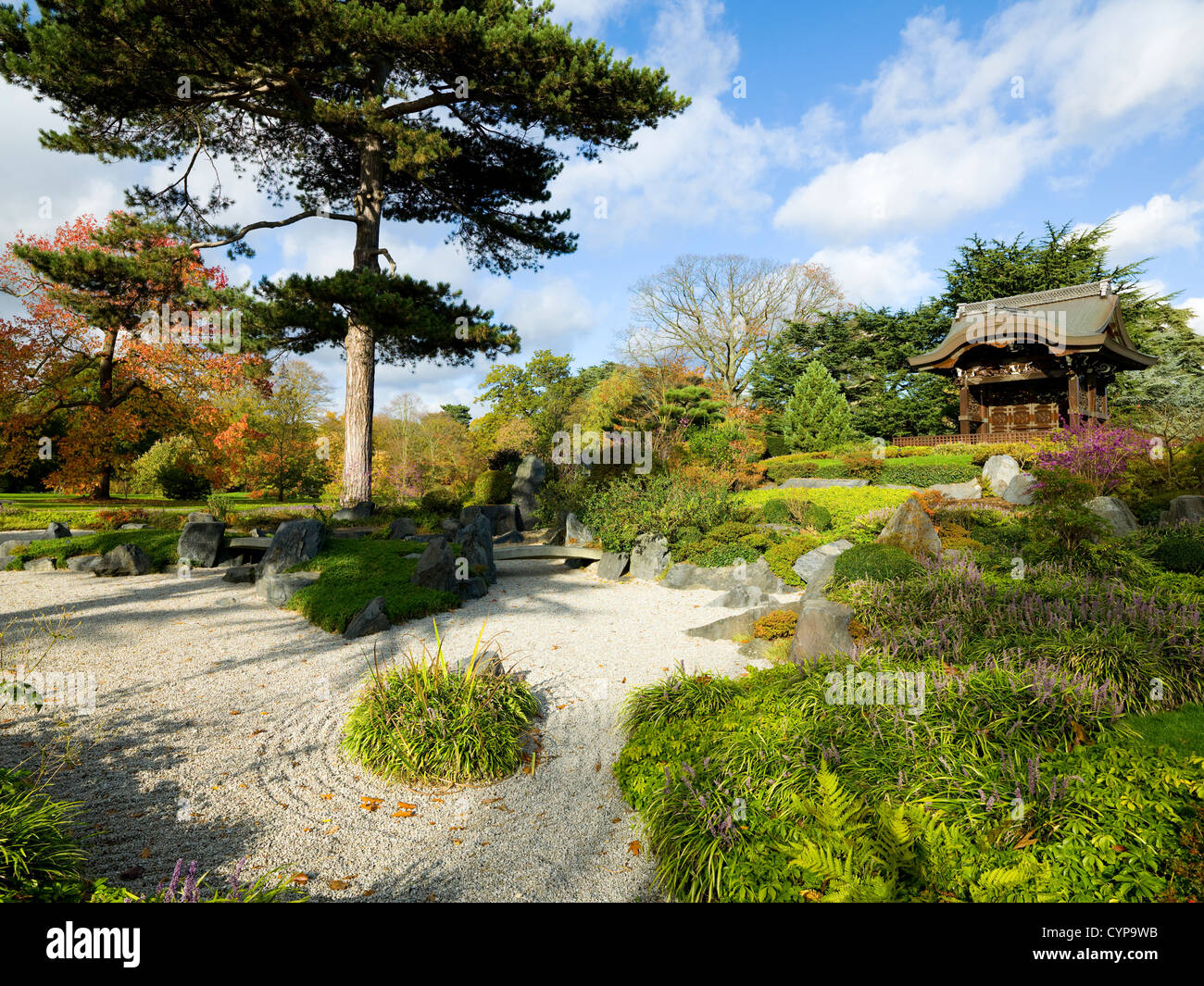 Giardini giapponesi, Kew Gardens i colori autunnali e foglie Foto Stock