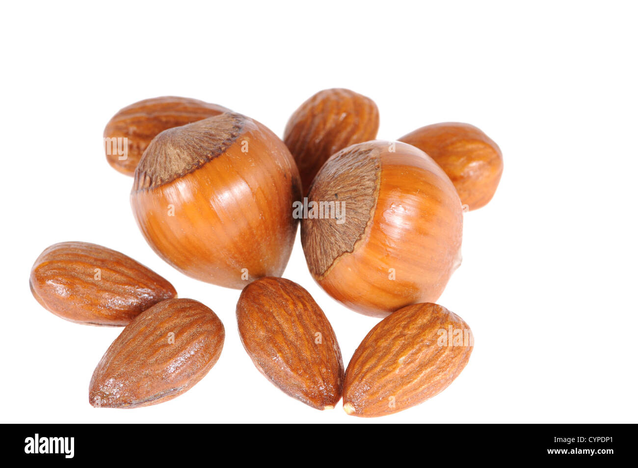 La nocciola e mandorla isolati su sfondo bianco Foto Stock