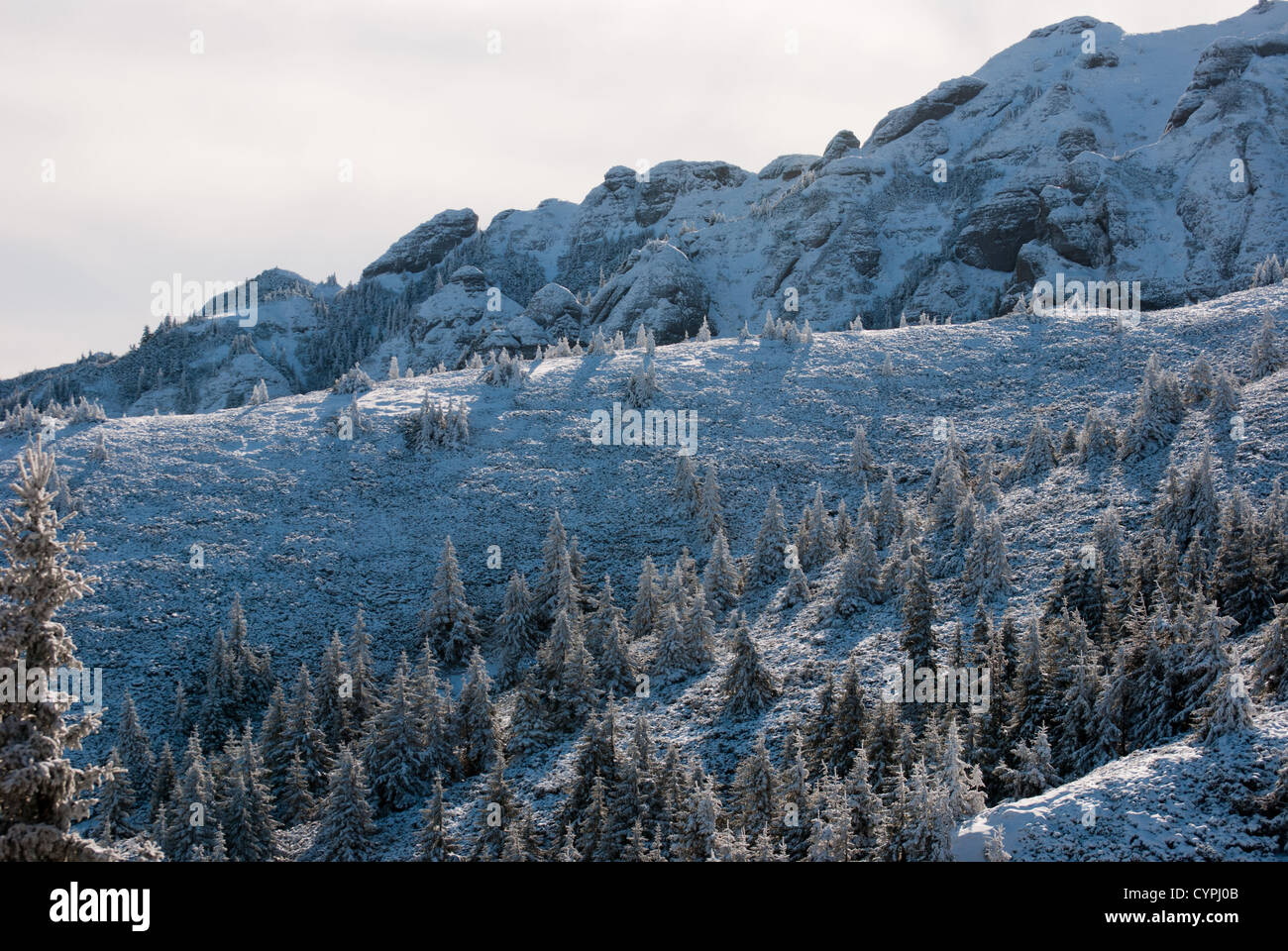 Ciucas paesaggio di montagna Foto Stock