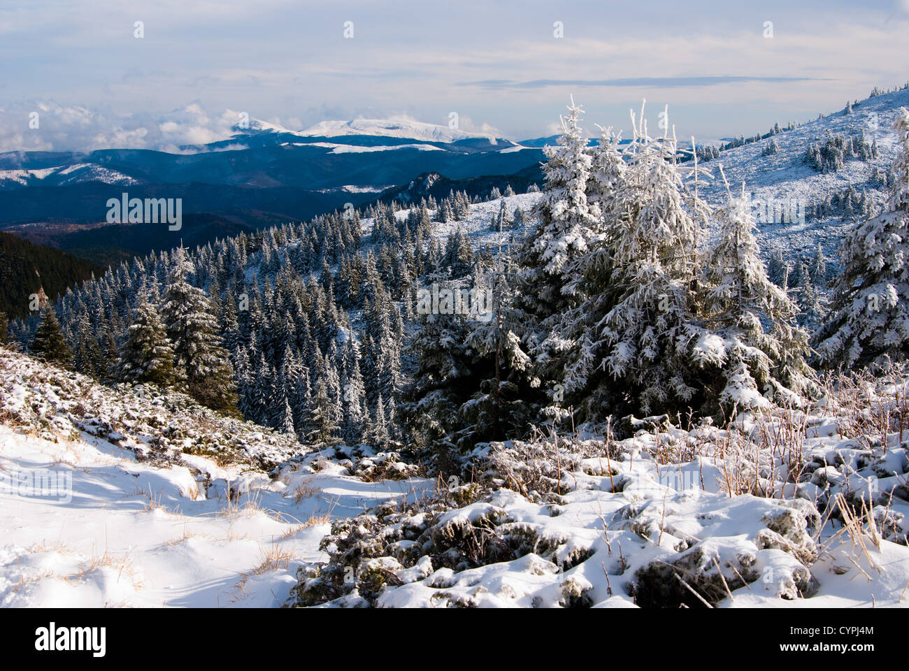 Ciucas paesaggio di montagna Foto Stock