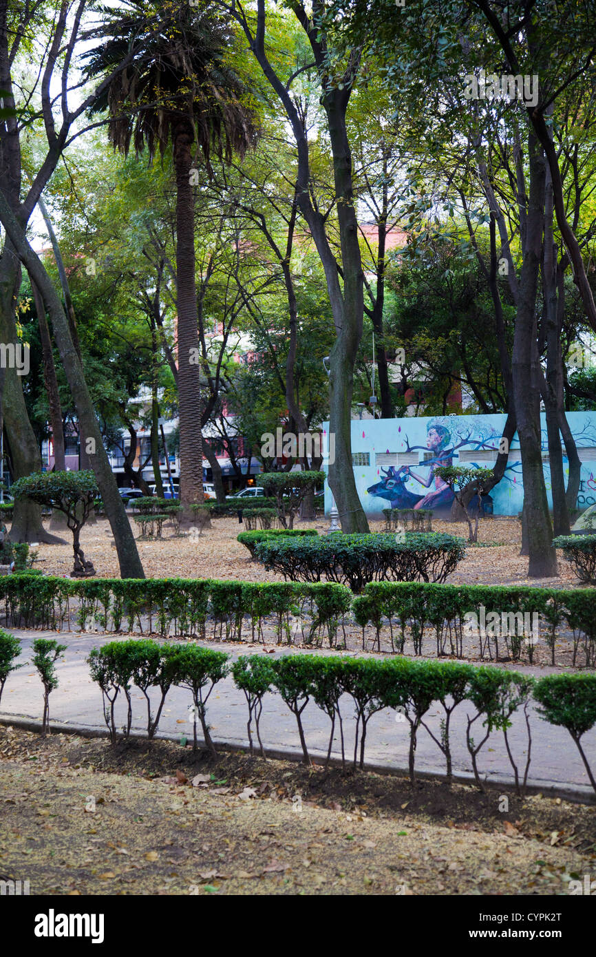 Parque Mexico percorsi nel Condesa - Città del Messico DF Foto Stock