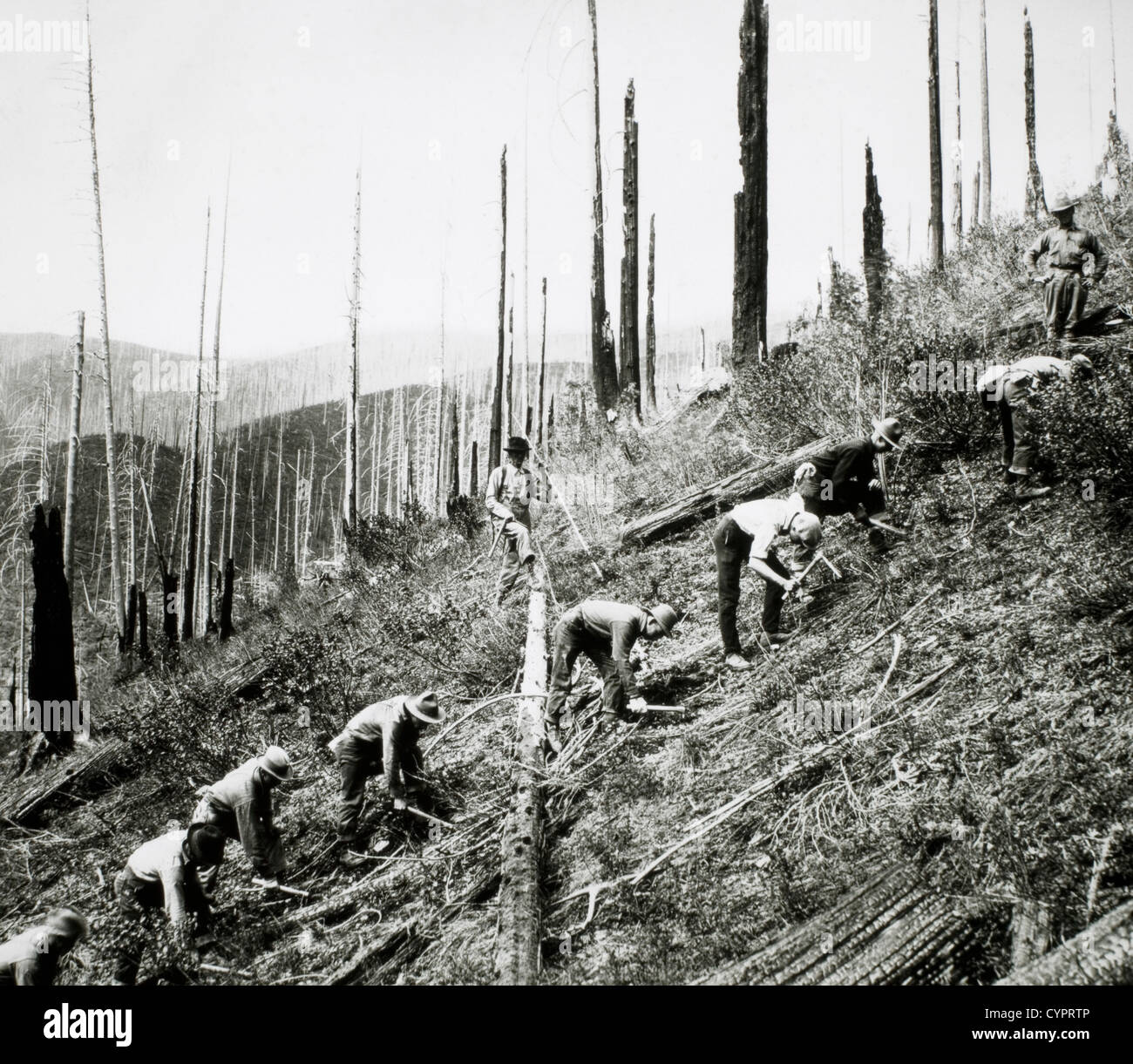 Conservazione civile Corps Impostazione dei lavoratori fuori le piantine, St. Joe National Forest, Idaho, Stati Uniti, circa 1934 Foto Stock