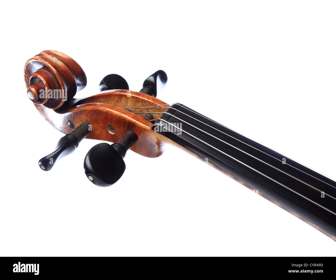 testa del violino Foto Stock