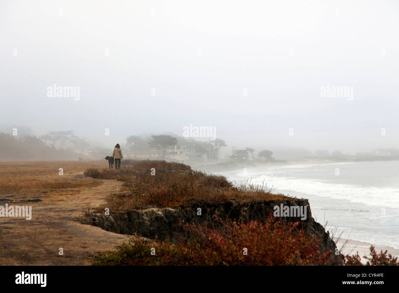 La nebbia di mattina autunnale in California. La donna cammina un cane. Half Moon Bay Foto Stock