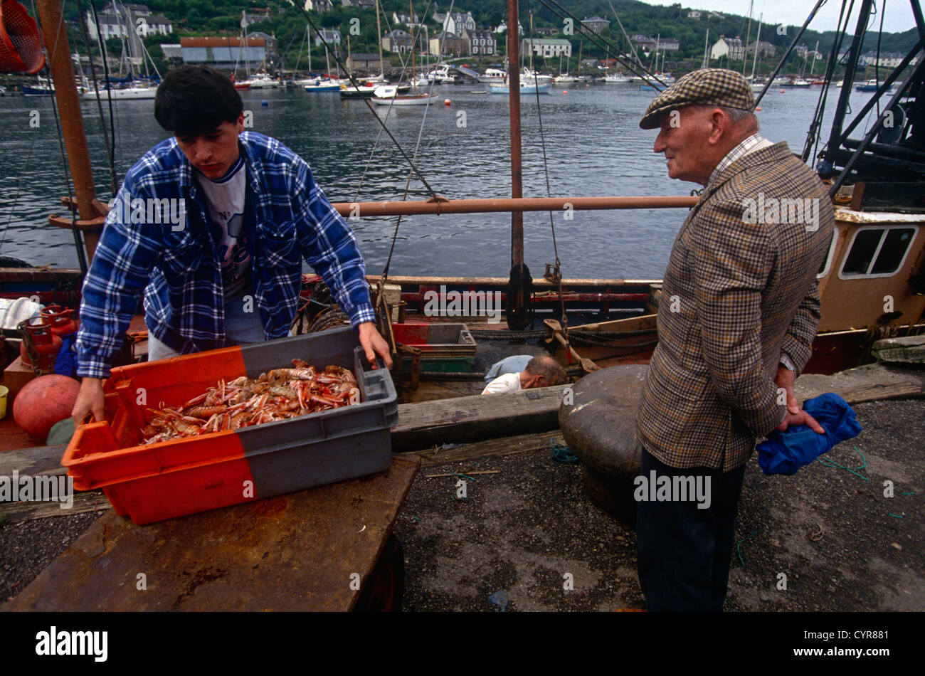 Con il suo villaggio domestico visti sullo sfondo della baia di pescatori scarica la sua cattura di gamberetti scozzese scampi scampi Foto Stock