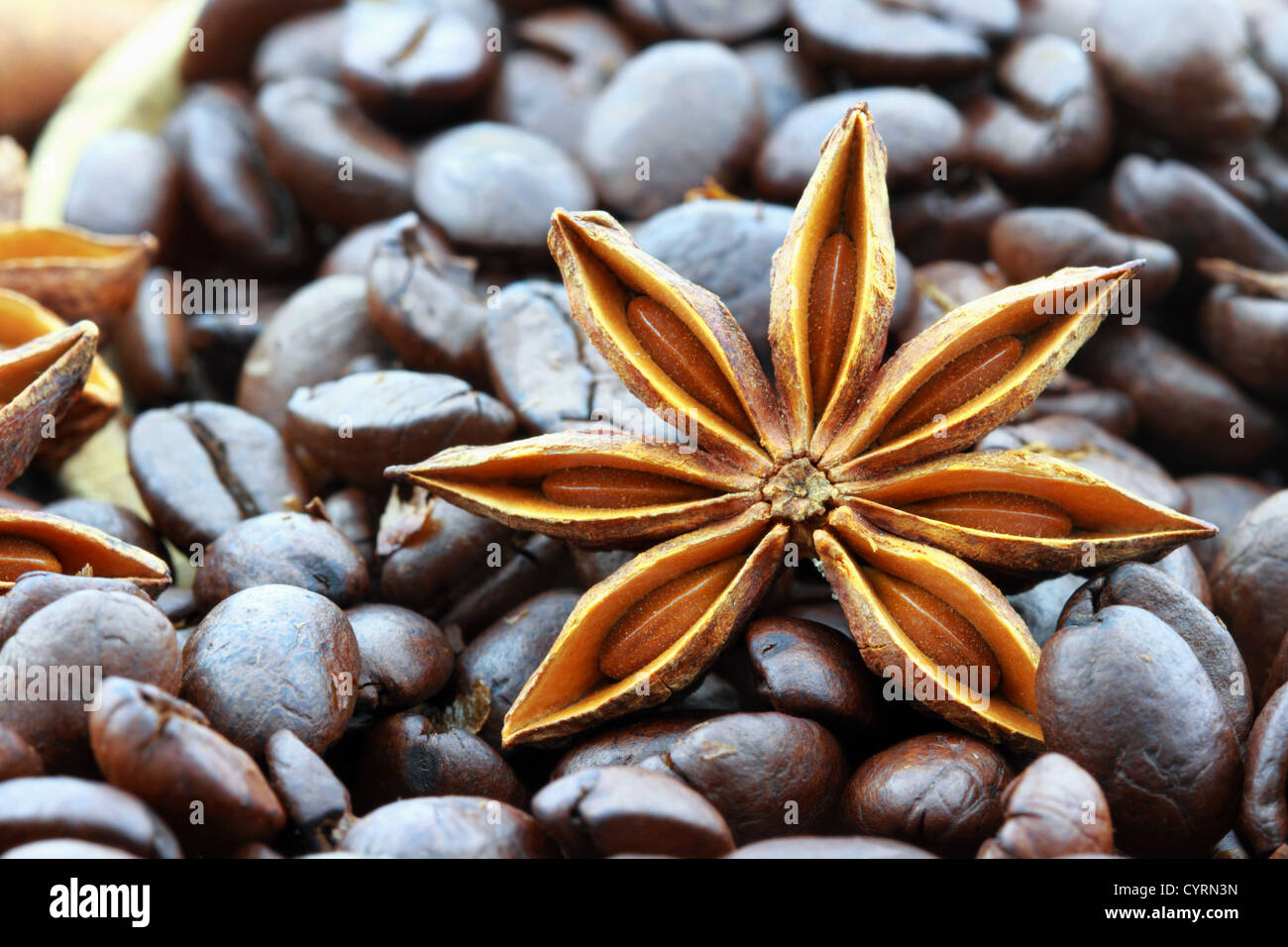 Macro di anice Star contro il buio chicchi di caffè tostati. DOF poco profondo con il fuoco selettivo su anice. Foto Stock
