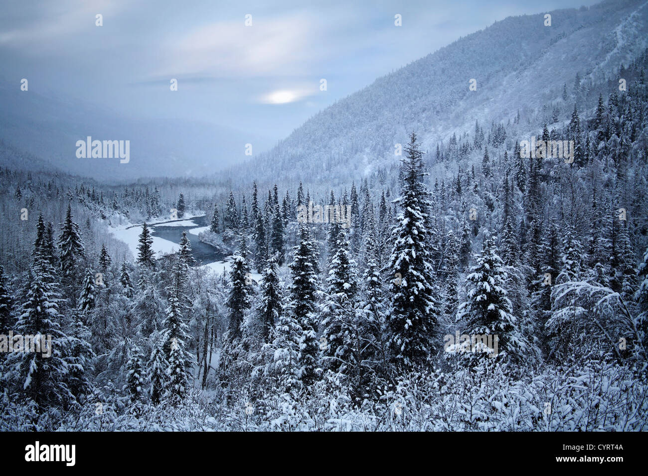 Inizio inverno bellezza, tipico per la Penisola di Kenai dell Alaska, STATI UNITI D'AMERICA Foto Stock