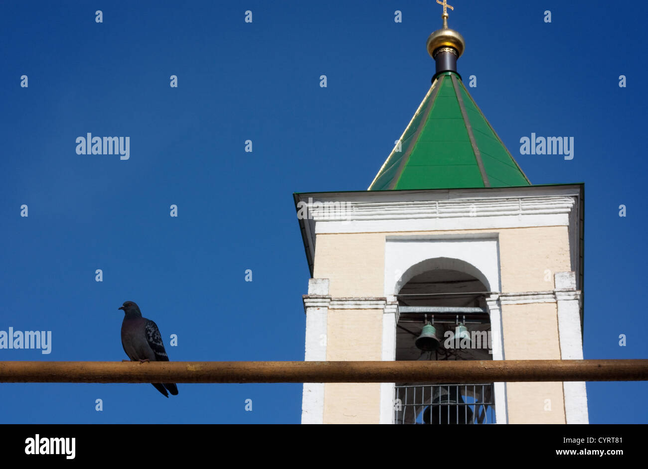 Il piccione nero su un palo e la parte superiore della torre campanaria Foto Stock