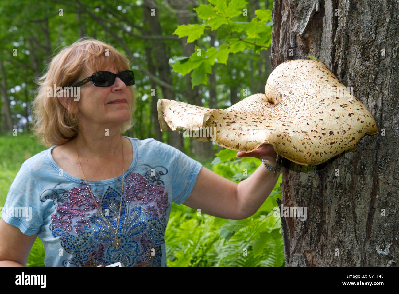 La staffa o mensola funghi a Pictured Rocks National Lakeshore a Lago Superior nella Penisola Superiore del Michigan, Stati Uniti d'America. Foto Stock