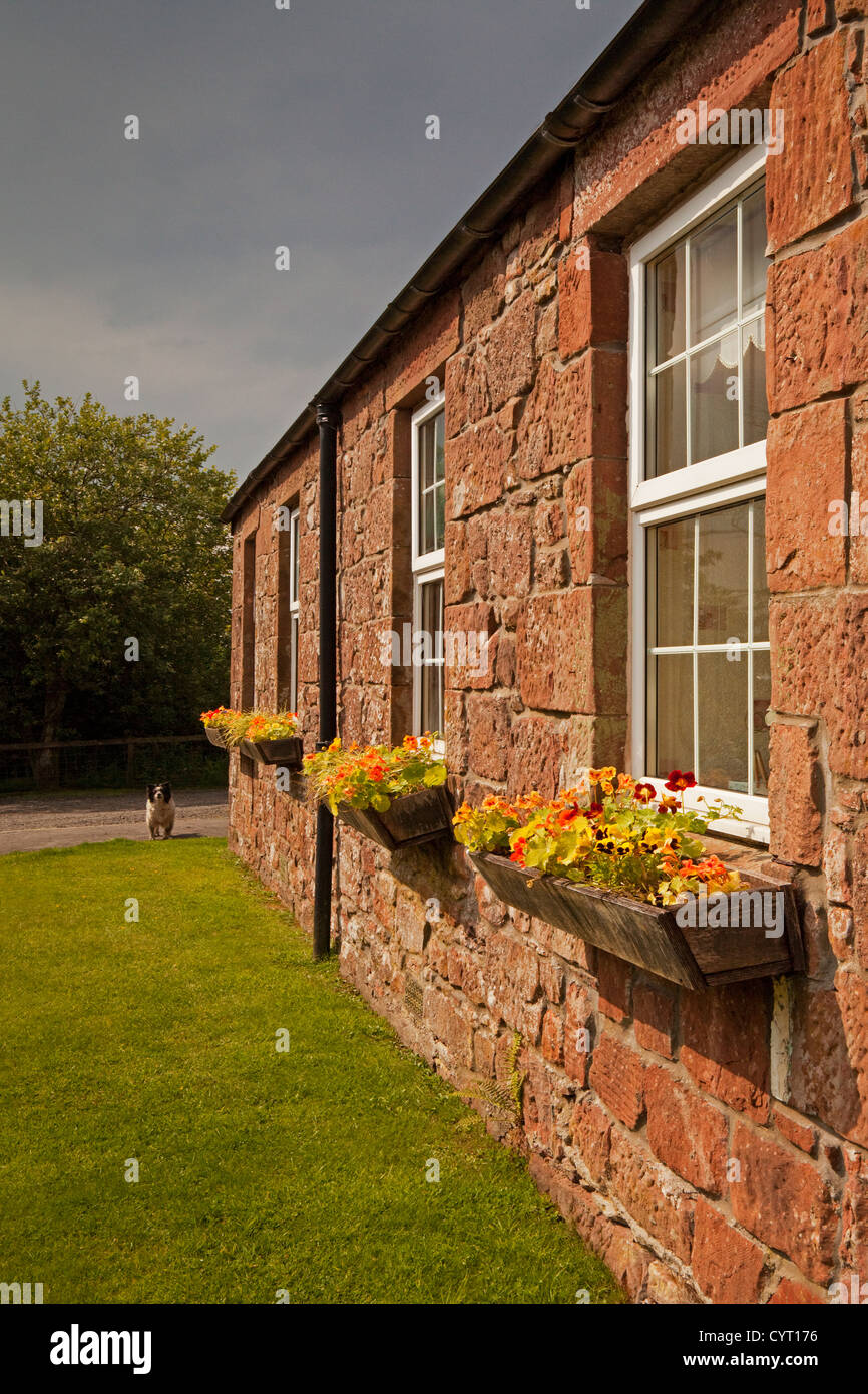 Cottage con scatole di finestra Foto Stock