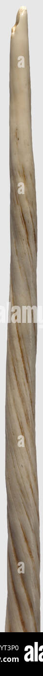 Un narwhal tusk Groenlandia, fine del 20 ° secolo UN tusk massiccio con una struttura a spirale splendidamente cresciuta. Punto rotto, piccole crepe in punti. Patina ricca e scura sulla superficie. Lunghezza 202 cm. Entrambi i sessi dei narici (Monodon monoceros), che si trovano ovunque nell'oceano Artico, hanno queste tipiche zecche, che si sviluppano da un dente canino nella mascella superiore. Documenti CITES disponibili, storico, storico, artigianato, artigianato, artigianato, oggetti, oggetti, fermi, ritagli, ritagli, ritaglio, ritaglio, ritaglio, ritagli, diritti aggiuntivi-non disponibili Foto Stock