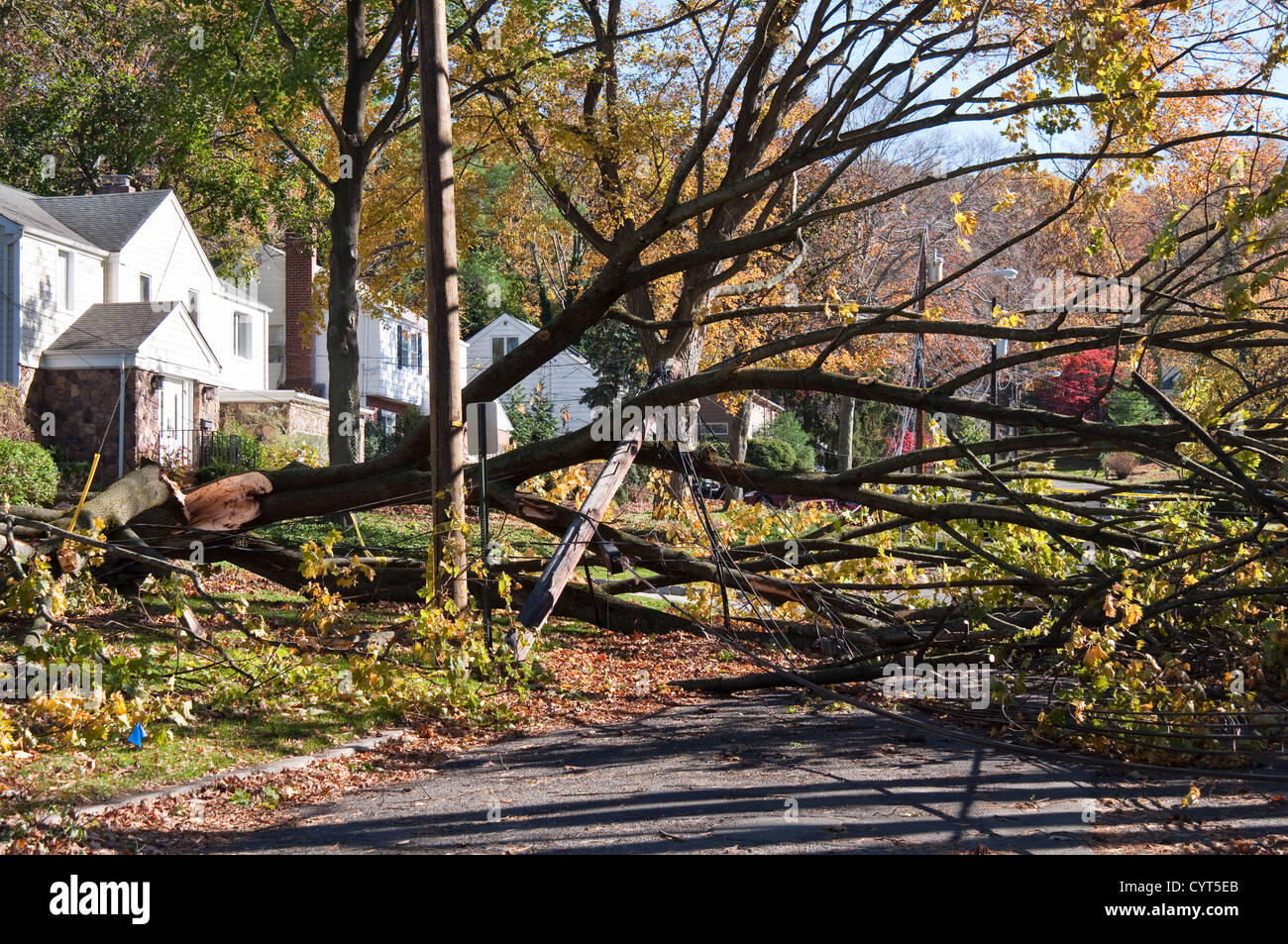 Danni causati dall'uragano in sabbia Tenafly, New Jersey, USA. Un albero caduto ha tolto i cavi di utilità. Foto Stock