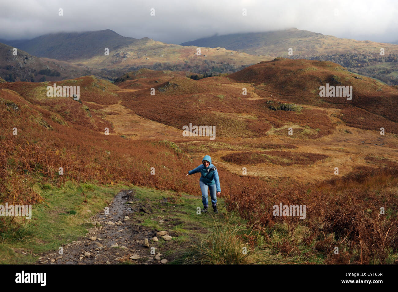 Il panorama intorno a Loughrigg è caduto vicino Ambleside Lake District Woman che si arrampica in cima il giorno d'autunno Foto Stock