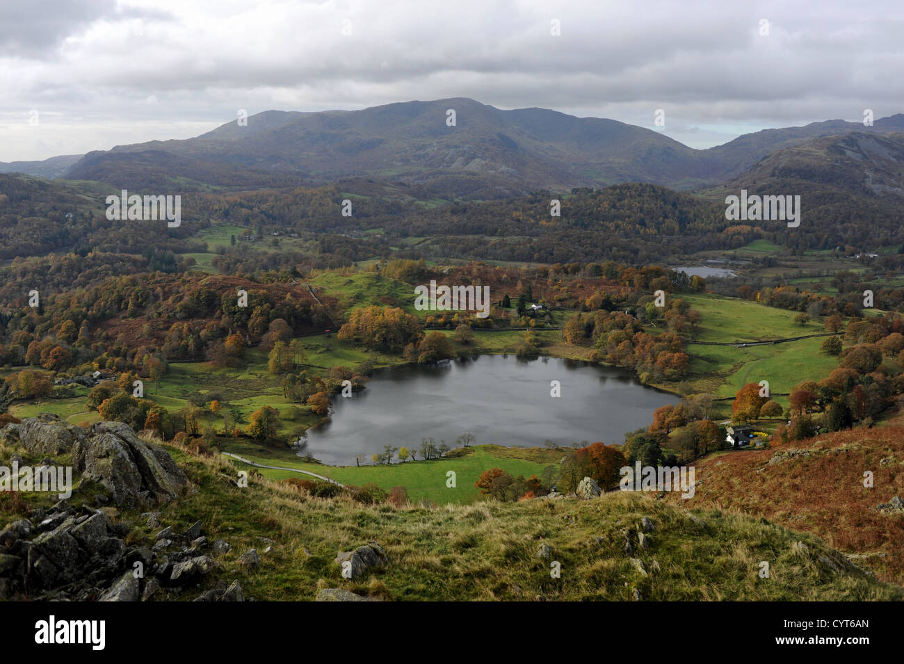 La vista da Loughrigg Cadde vicino Ambleside Lake District UK Foto Stock