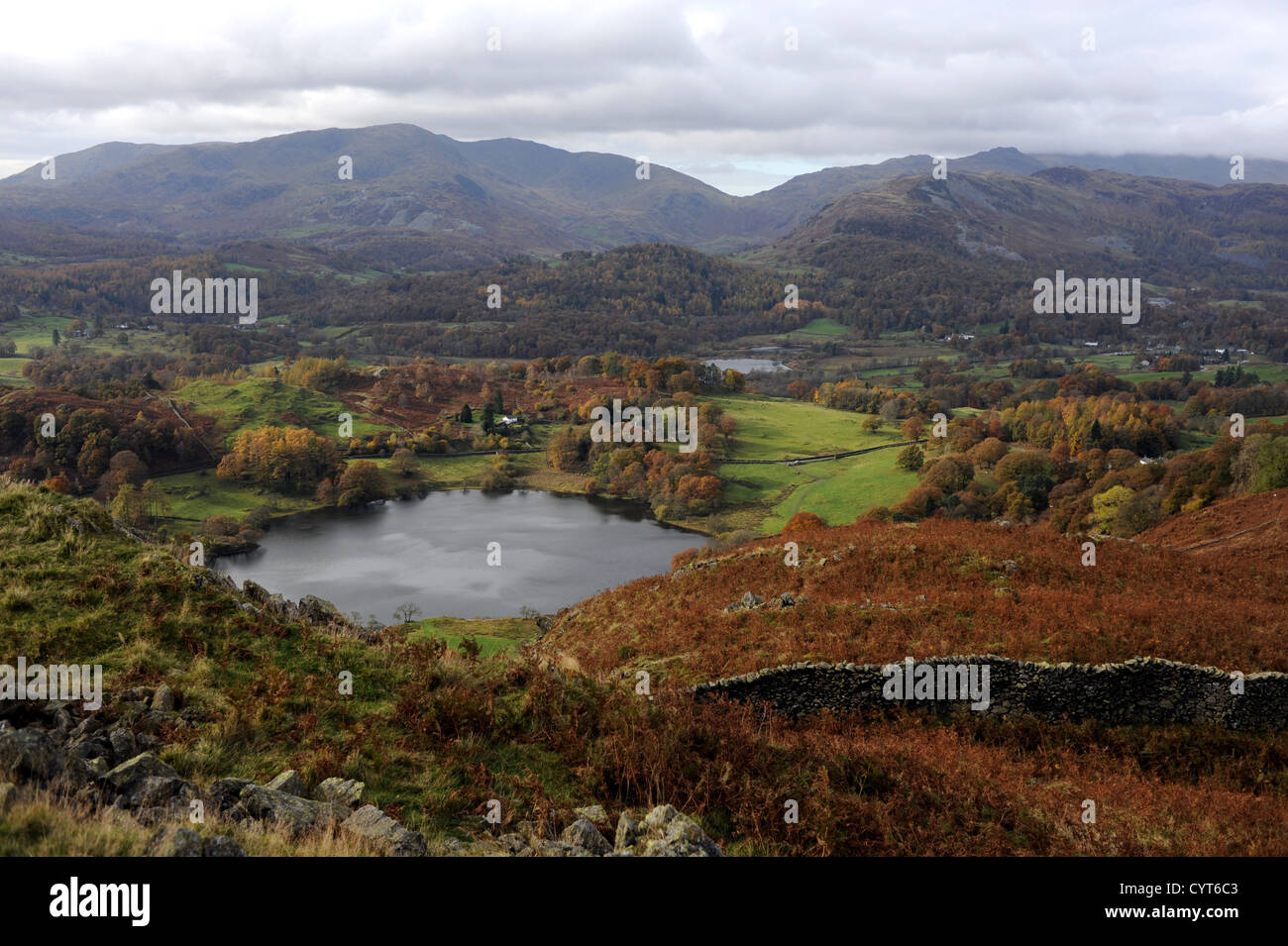 La vista da Loughrigg Cadde vicino Ambleside Lake District UK Foto Stock