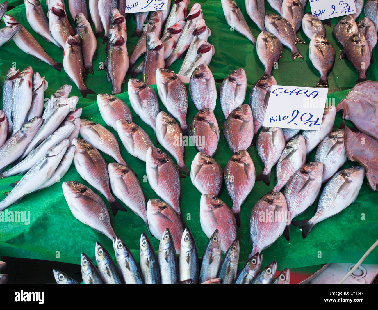 Mattina mercato del pesce di Kumkapi Istanbul Turchia, pesce fresco direttamente dalla barche orata orata, Sparus aurata Foto Stock