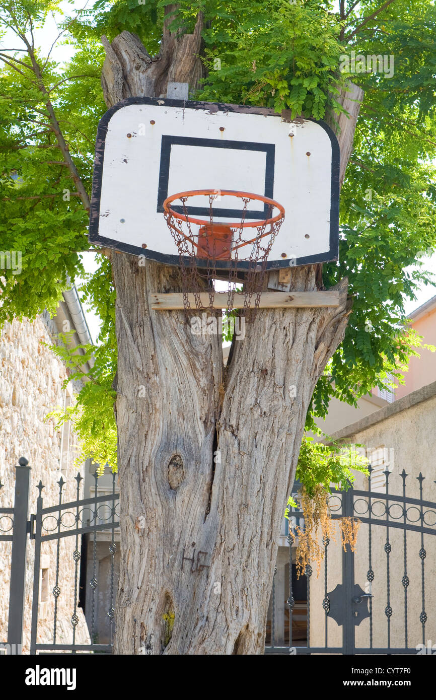 Scheda di pallacanestro con un cesto su un albero Foto Stock