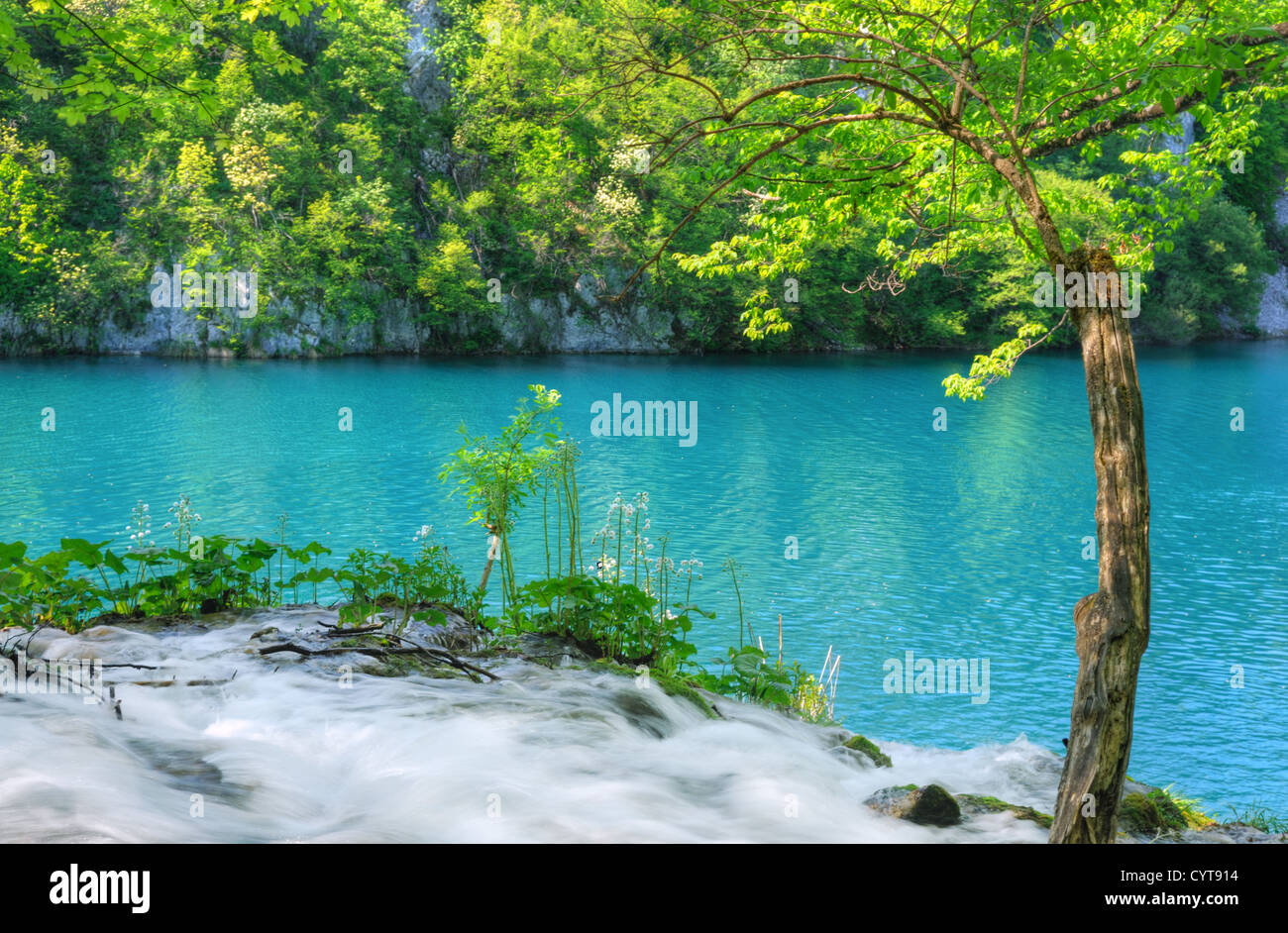 Il Parco Nazionale dei Laghi di Plitvice, Croazia, paesaggio Foto Stock