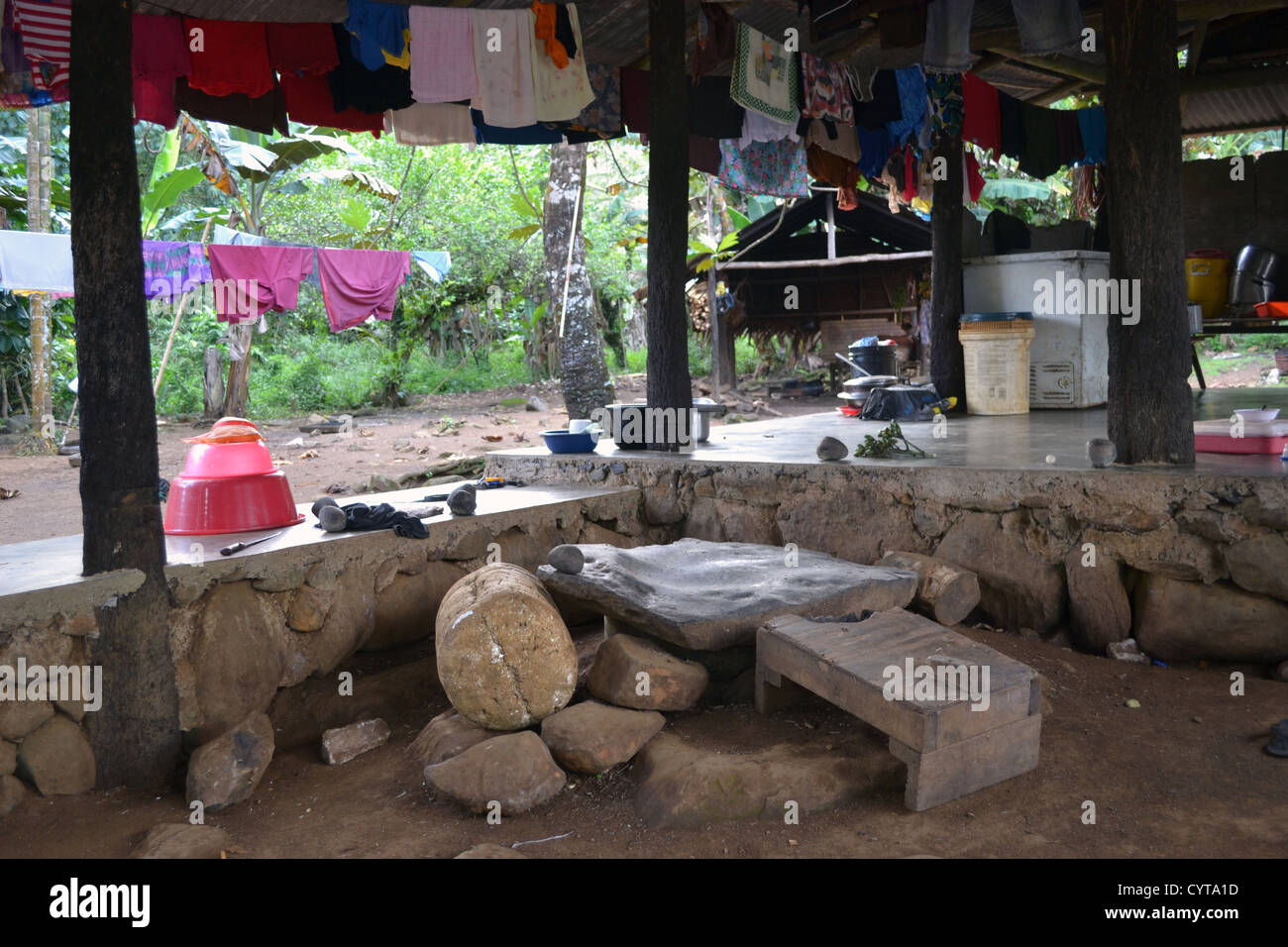 La pietra per la preparazione della bevanda tradizionale Sakau, Madolenihmw Provincia, Pohnpei, Stati Federati di Micronesia Foto Stock