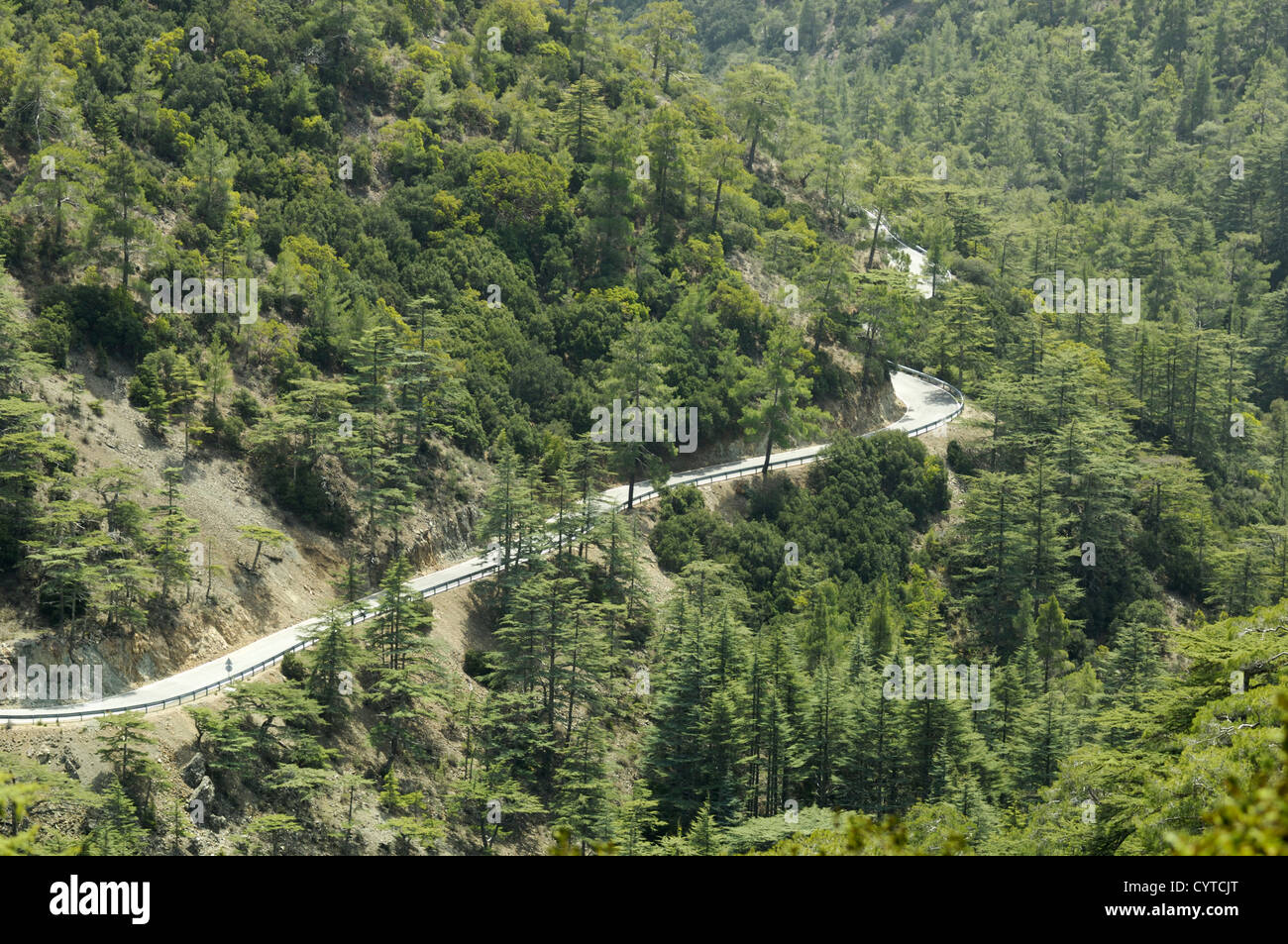 Cedar Valley Foto Stock