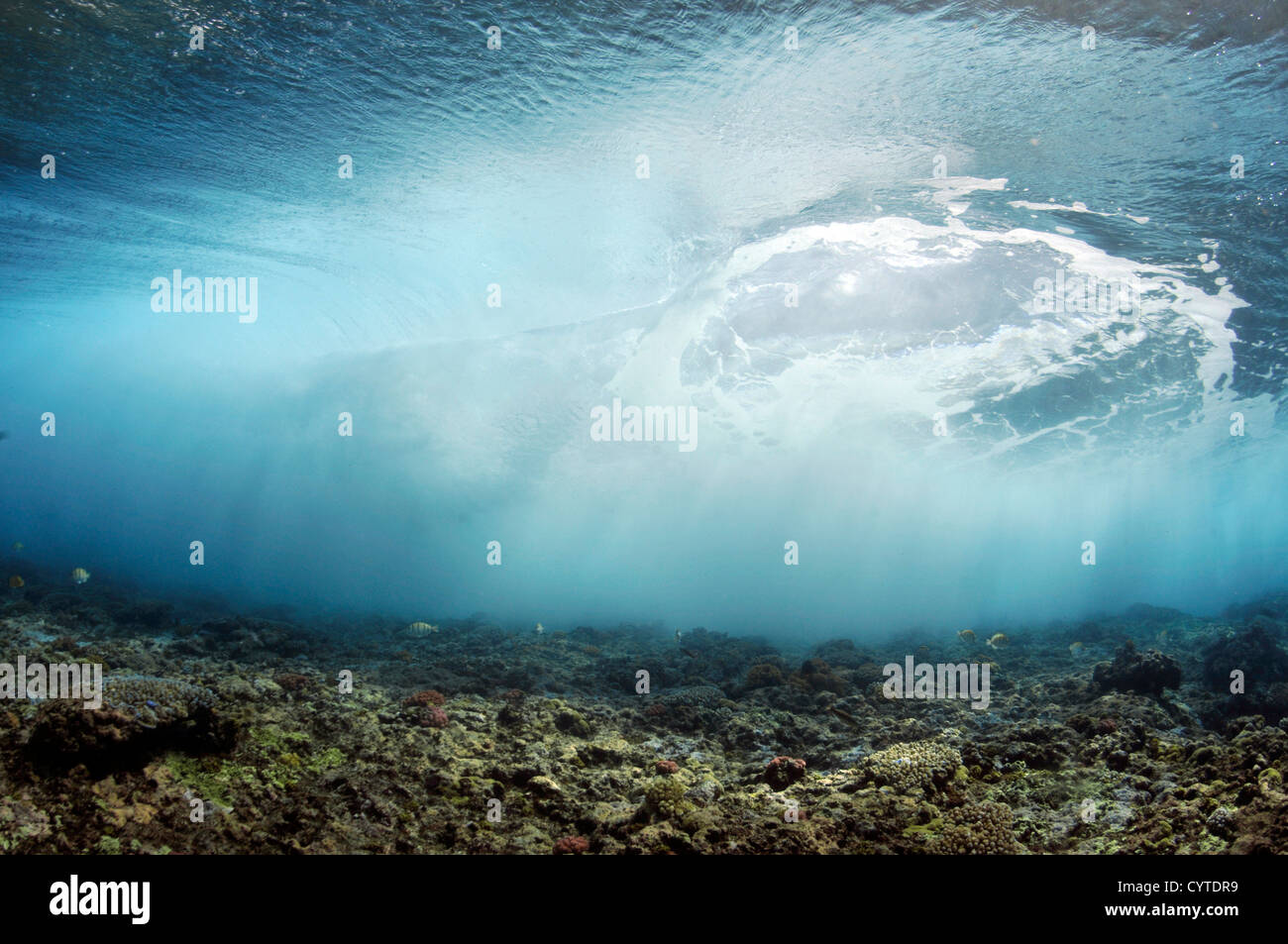 Onde che si infrangono sulla barriera corallina, visto da sotto la superficie, Palikir Pass, Pohnpei, Stati Federati di Micronesia Foto Stock