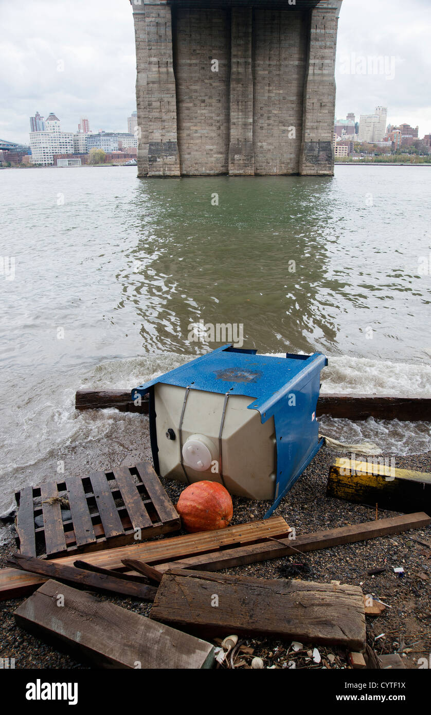 I detriti che è lavato fino sulla riva del fiume Est a Manhattan sotto il ponte di Brooklyn dall uragano di sabbia. Foto Stock