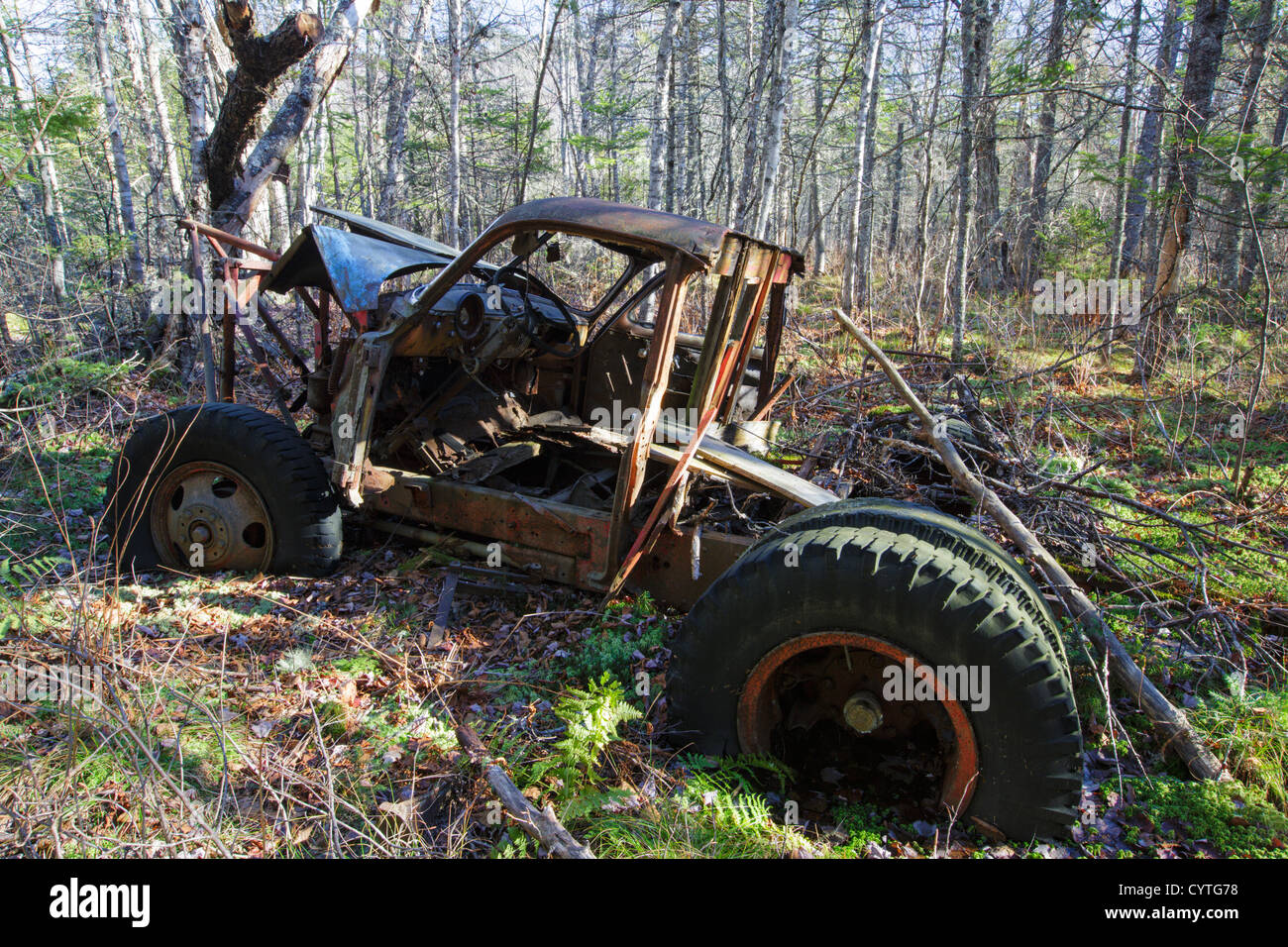 Abbandonato anni cinquanta Chevy nella foresta vicino a gomito stagno in Woodstock, New Hampshire USA Foto Stock