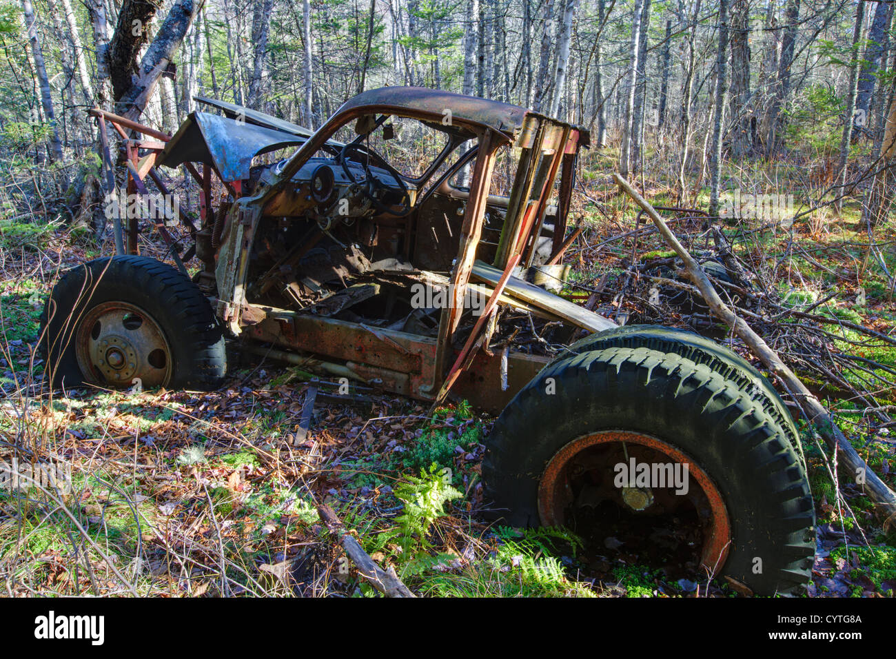 HDR di abbandono degli anni cinquanta Chevy nella foresta vicino a gomito stagno in Woodstock, New Hampshire USA Foto Stock