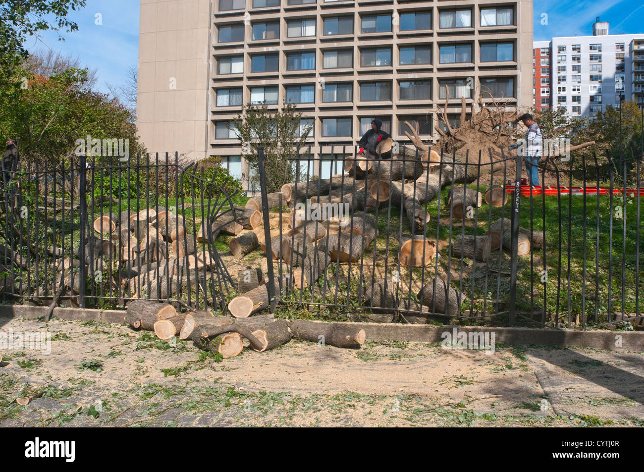 New York, NY - 4 novembre 2012 lavoratori cancellare un grande albero abbattuto sulla West Houston Street dopo il passaggio dell uragano di sabbia. Foto Stock