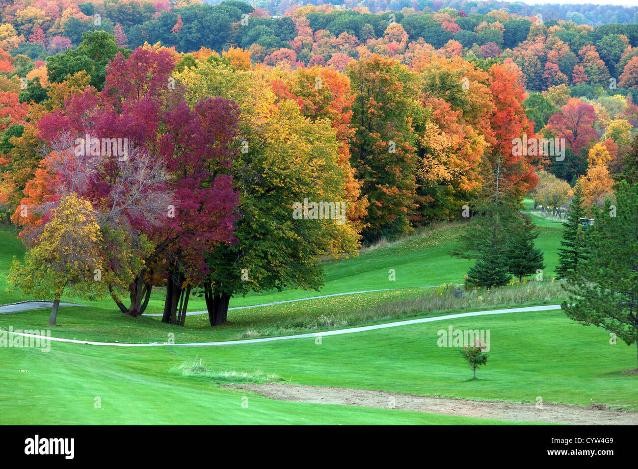 Campo da golf in Ontario, Canada, nel fogliame di autunno Foto Stock