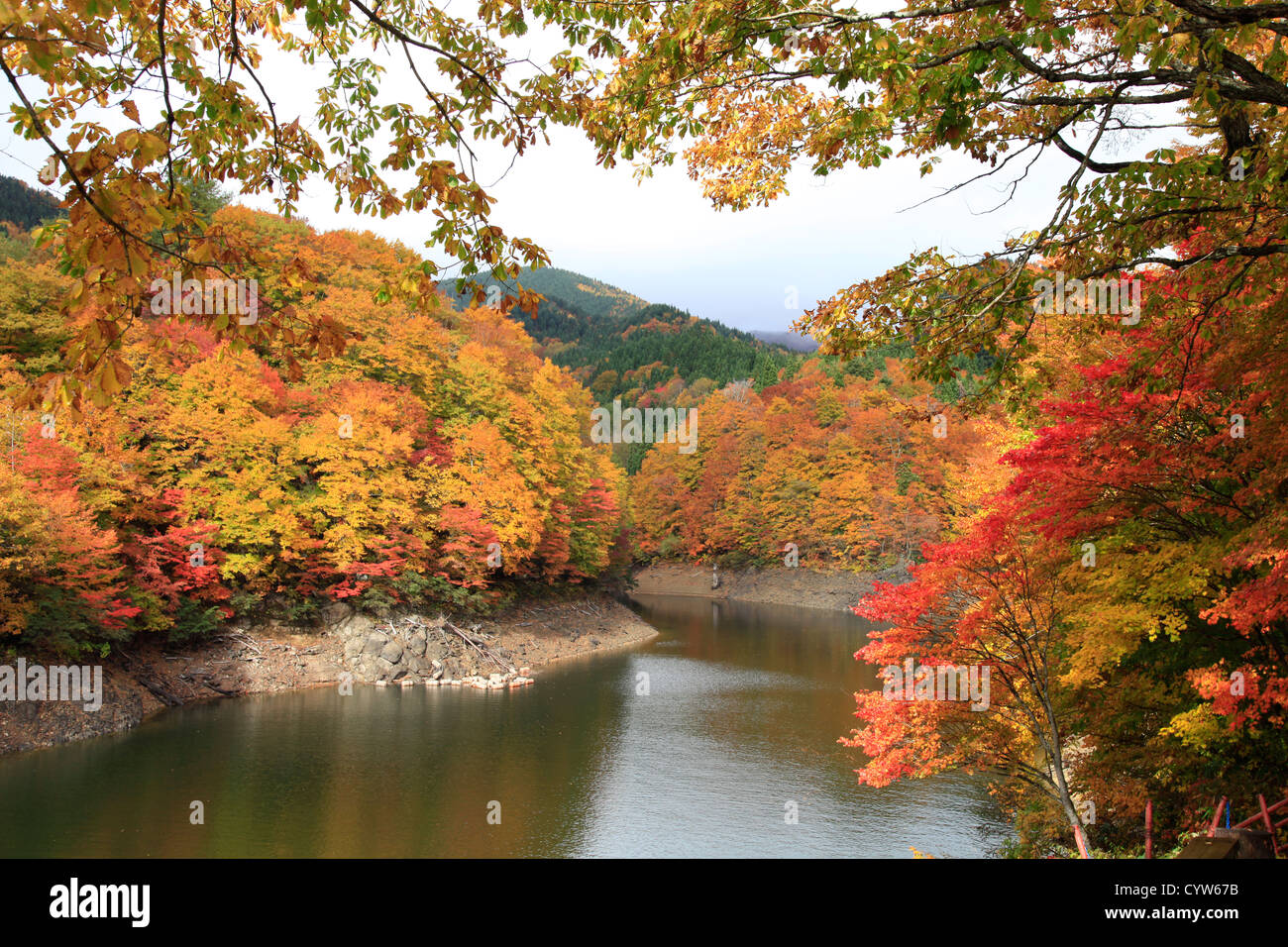 Autunno a colori e lago Taihei Akita Tohoku Giappone Foto Stock